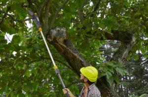 Piła łańcuchowa Stiga MT 500e 48 V 25 cm 6