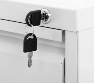 Fromm & Starck Szafa kartotekowa biurowa metalowa do kartotek dokumentów A4/F4 2 szuflady Szafa kartotekowa biurowa metalowa do kartotek dokumentów A4/F4 2 szuflady 4