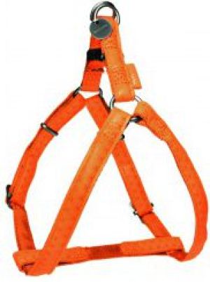 Zolux Szelki regulowane Mac Leather 10 mm - turkusowy 3