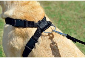 Zolux Smycz do samochodu 2