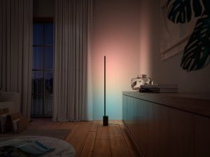 Lampa podłogowa Philips Hue Signe gradient czarna 9