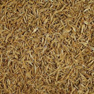 Tetra Anchovies 1L 2