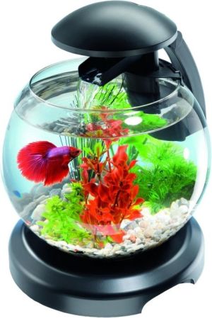 Tetra Cascade Globe White - Szklana kula z filtrem biała 7