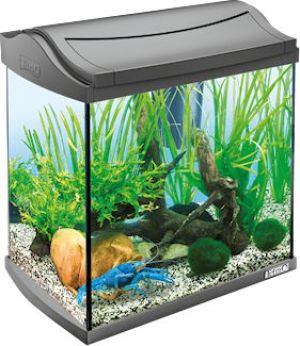 Tetra AquaArt Discovery Line Crayfish Aquarium Complete Set - 30L 1