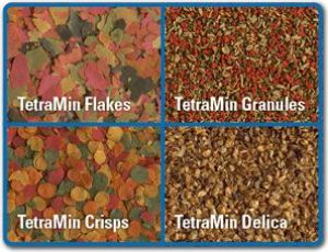 Tetra Karmnik automatyczny - myFeeder 5