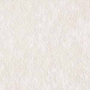 Tetra ReptoCal 100 ml 2