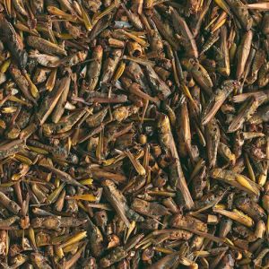 Tetra ReptoDelica Grasshoppers 250 ml 2