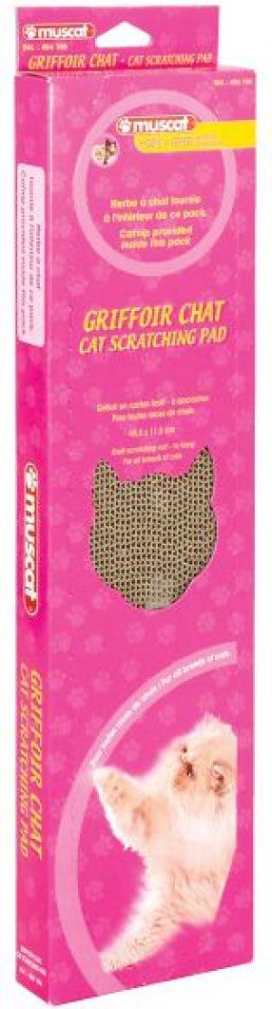 Zolux Drapka karton z kocimiętką duża 3