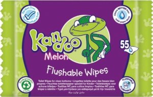 Kandoo (DE) Kandoo, Melon, Chusteczki nawilżające, 55 sztuk (PRODUKT Z NIEMIEC) 1