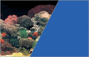 Zolux Tło akwariowe dwustronne 0.4 x 15 m - rafa koralowa czarna /błękitne 1