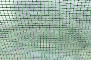 DWM TUNEL FOLIOWY - SZKLARNIA OGRODOWA - 3X6 M 6