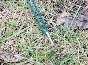 DWM TUNEL FOLIOWY - SZKLARNIA OGRODOWA - 3X6 M 10