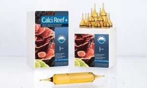 Prodibio Calci Reef+ 10 ampułek 1