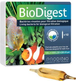 Prodibio BioDigest 12 ampułek 1