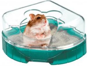 Zolux Toaletka RodyLounge kol. turkusowy 2