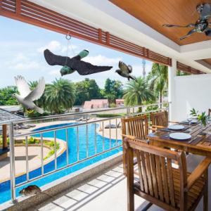 Retoo JASTRZĄB SOKÓŁ ODSTRASZACZ PTAKÓW SZPAKÓW GOŁĘBI 6