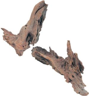 Zolux Korzeń Mangrowca 25-40 cm 1