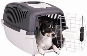 Zolux Transporter GULLIVER 3 DELUX 2