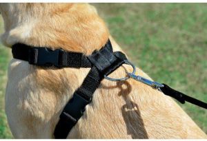 Zolux Szelki bezpieczeństwa duże 4