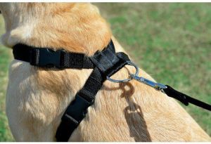 Zolux Szelki bezpieczeństwa XL 4