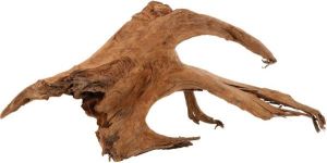 Zolux Korzeń Mangrowca 40-60 cm 2