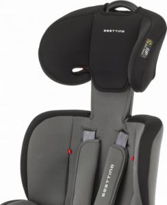 Fotelik samochodowy Sesttino SPARROW 9-36 kg Szary 11