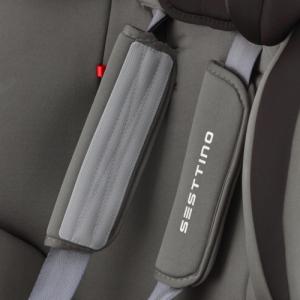 Fotelik samochodowy Sesttino SPARROW 9-36 kg Szary 8