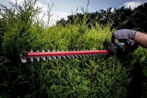 Metabo Nożyce akumulatorowe HS 18 LTX 55 cm (601718850) 4
