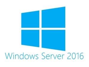 HP Windows Server 2016 CAL PL  (871148-241) 1