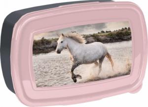 Paso Tornister, worek gimnastyczny, piórnik z wyposażeniem, bidon, śniadaniówka i portfel Koń Lovely Horse 11