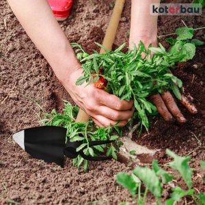 Kotarbau MOTYKA KUTA GRACA SERCOWA WIDEŁKAMI PAZURKAMI 75 4