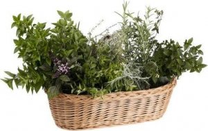 WickerPL KOSZ WIKLINOWY DONICZKA OSŁONKA NA ZIOŁA I KWIATY 40X21 H12 CM 6