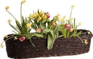 WickerPL KOSZ NA BALKON DONICA OGRODOWA OWALNA Z CIEMNEJ WIKLINY 60X27 H15 CM 9