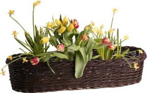 WickerPL Kosz na Balkon Duża Donica Ogrodowa Owalna z Ciemnej Wikliny 100x28 H18 cm 9