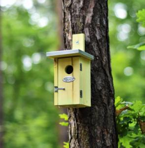 Tajemniczy ogród Domek dla ptaków naturalny zielony 2