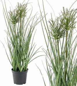 Tajemniczy ogród Sztuczna trawa ozdobna w doniczce, 38 cm 1