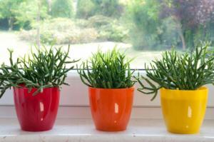 Kadax DONICZKA OSŁONKA Z PODSTAWKĄ DONICA KOLORY 14cm 3