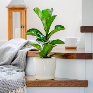 Kadax DONICZKA OSŁONKA Z PODSTAWKĄ DONICA 23cm KOLORY 2