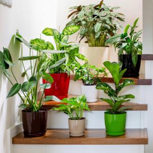 Kadax DONICZKA OSŁONKA Z PODSTAWKĄ DONICA 23cm KOLORY 9