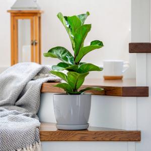 Kadax DONICZKA OSŁONKA Z PODSTAWKĄ DONICA 23 cm KOLORY 2