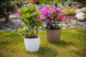 Kadax DONICZKA OSŁONKA Z PODSTAWKĄ DONICA 23 cm KOLORY 8