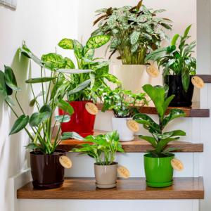 Kadax DONICZKA OSŁONKA Z PODSTAWKĄ DONICA 23 cm KOLORY 9