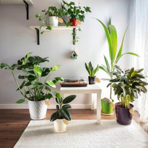 Kadax DONICZKA OSŁONKA Z PODSTAWKĄ DONICA 14cm 9X KOLOR 8