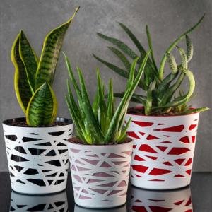 Kadax DONICZKA OSŁONKA WKŁAD DONICA KOLORY RÓŻOWA 15cm 2
