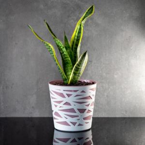 Kadax DONICZKA OSŁONKA WKŁAD DONICA KOLORY RÓŻOWA 15cm 3