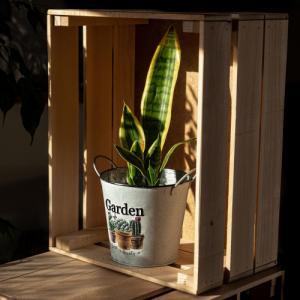 Kadax DONICZKA NA KWIATY ROŚLINY OSŁONKA DONICA 14 cm 5