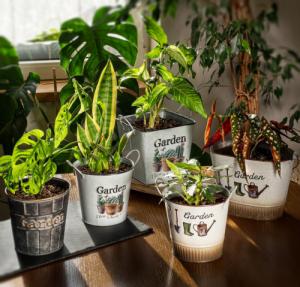 Kadax DONICZKA NA KWIATY ROŚLINY OSŁONKA DONICA 14 cm 6