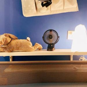 Wentylator USB Joyroom Joyroom CheerSummer wiatrak wentylator biurkowy przenośny czarny (JR-CY363-black) 7