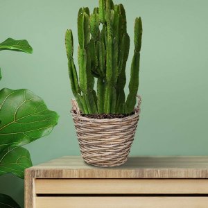 Vilde Doniczka osłonka wiklinowa kosz koszyk z uchwytami na kwiaty rośliny 22x22 cm 2