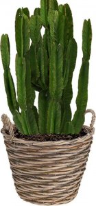 Vilde Doniczka osłonka wiklinowa kosz koszyk z uchwytami na kwiaty rośliny 22x22 cm 6